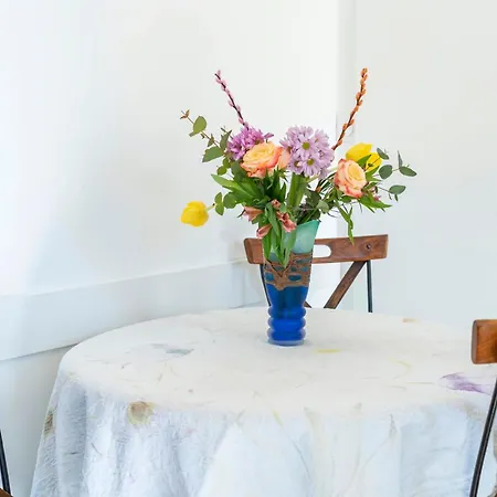 Appartement A Sare
